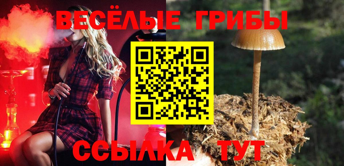 Лысьва  Галлюциногенные грибы Psilocybe  Вход с VPN 